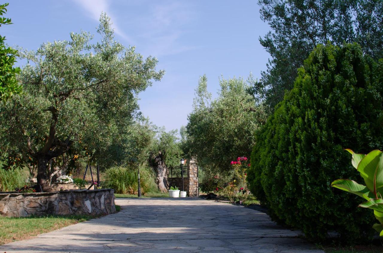 Makis House Hotel Nikiti  Bagian luar foto