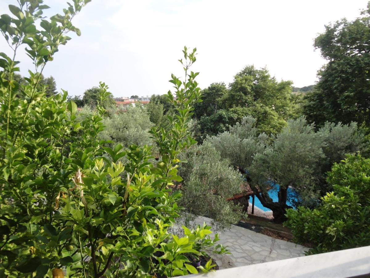 Makis House Hotel Nikiti  Bagian luar foto