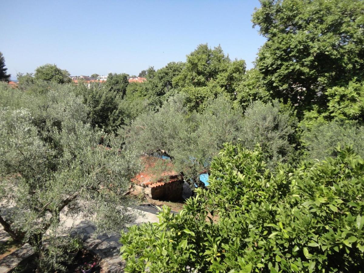 Makis House Hotel Nikiti  Bagian luar foto